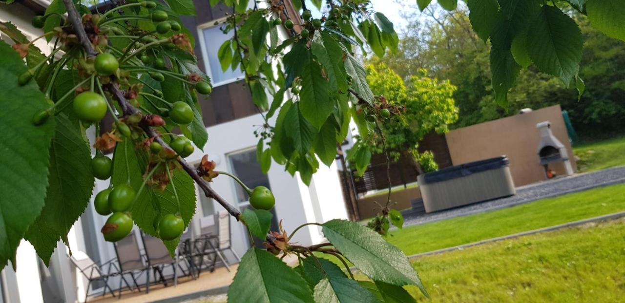 Kenese-Voelgye Villahotel بالاتونكينيشي المظهر الخارجي الصورة